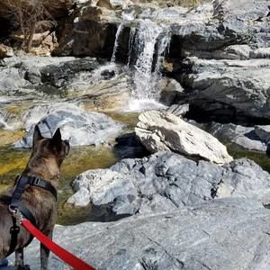 Meet your Posher, Petemick